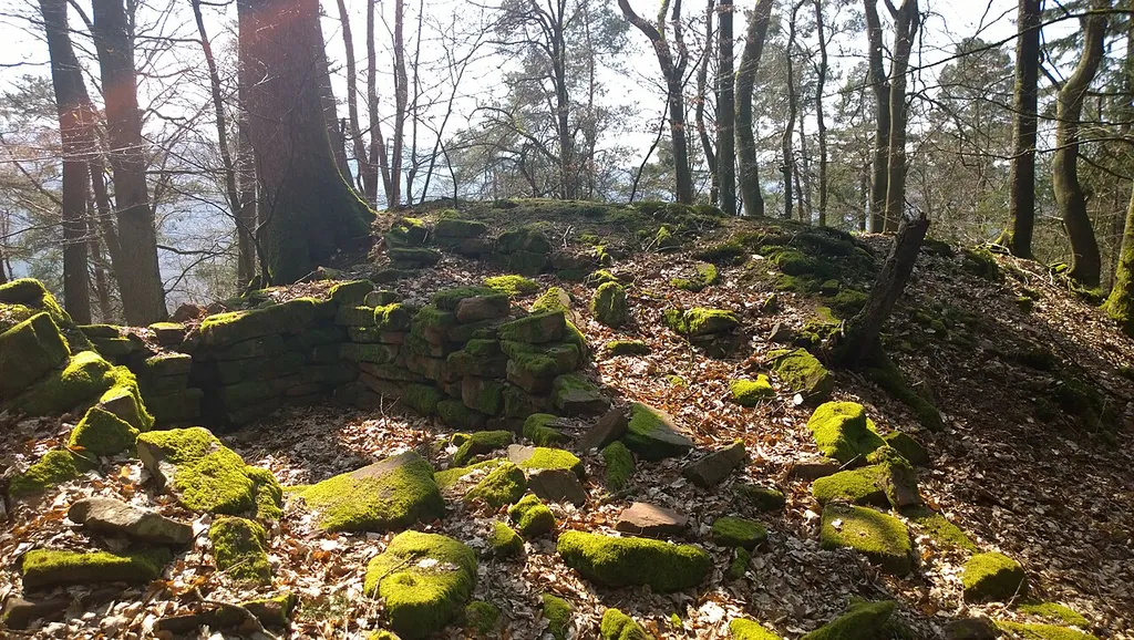 Ruinenreste der Burg Fürstenstein (Sporn- und Gegenburg) oberhalb der Burg Zwingenberg am Neckar im Odenwald (Gebäude- oder Turmrest)