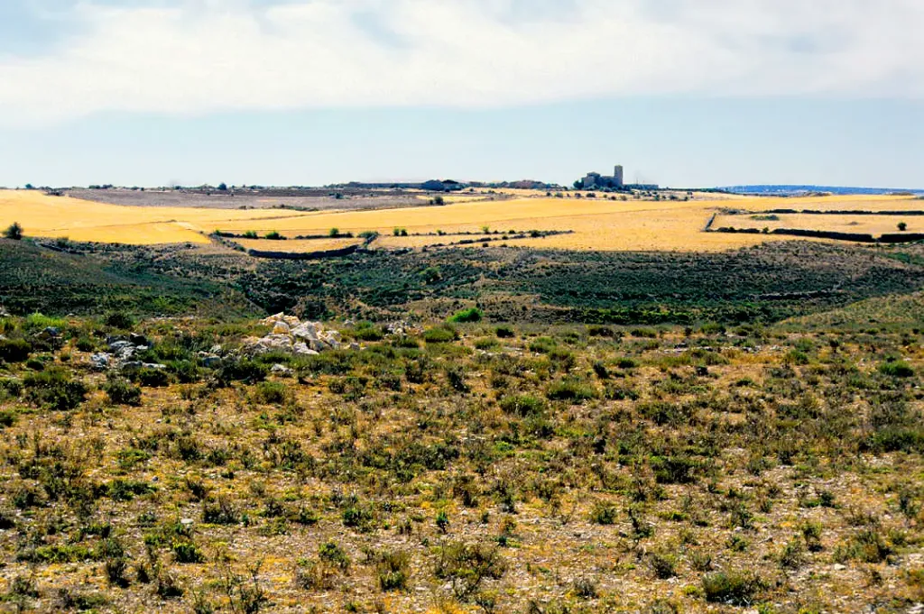Pinilla del Olmo