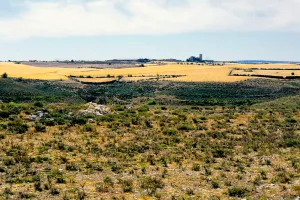 Pinilla del Olmo