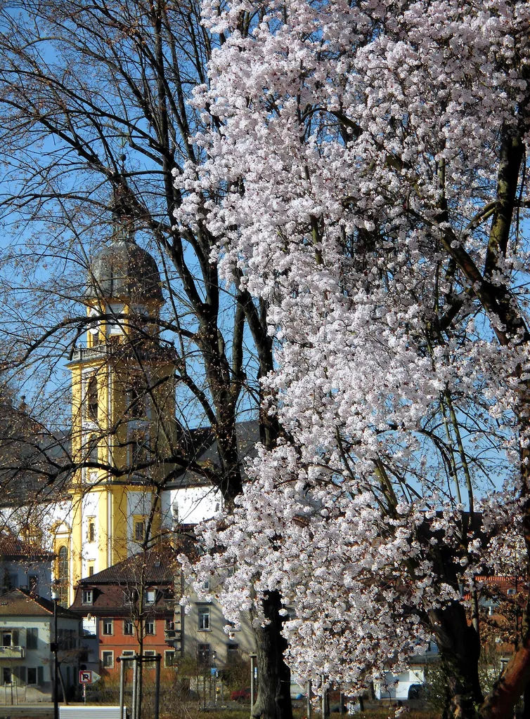 Der Turm der Kitzinger Stadtkirche