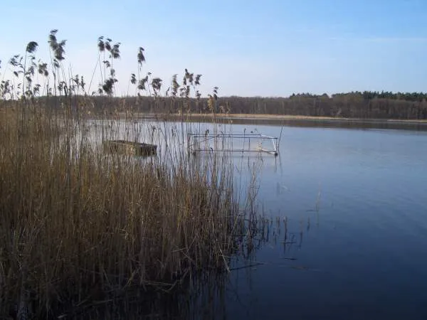Blick vom Südufer auf den Großen Peetscher See.