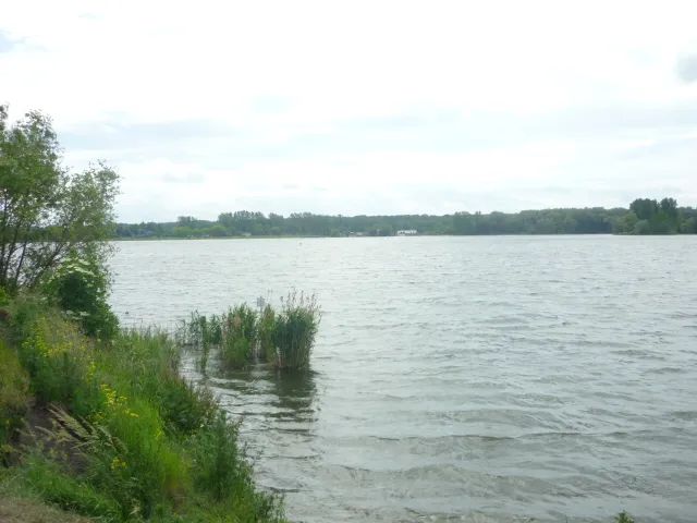 Löderburger See