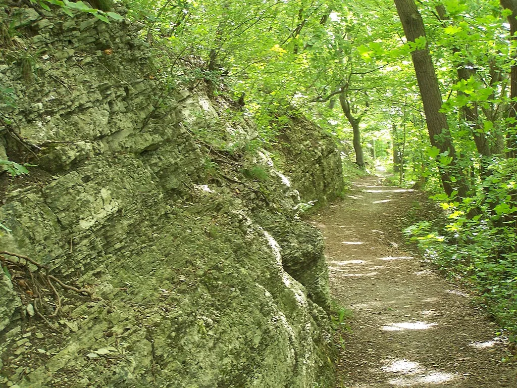 Burgberg mit Baldrichstein und Kräuterwiese