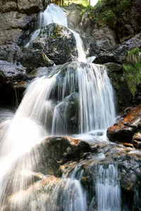 Rieslochfälle