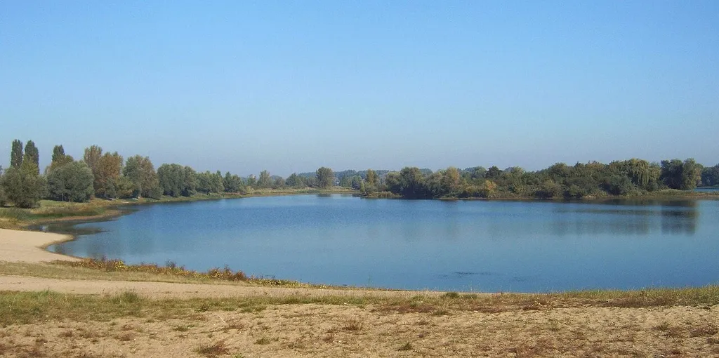 Salbker See I