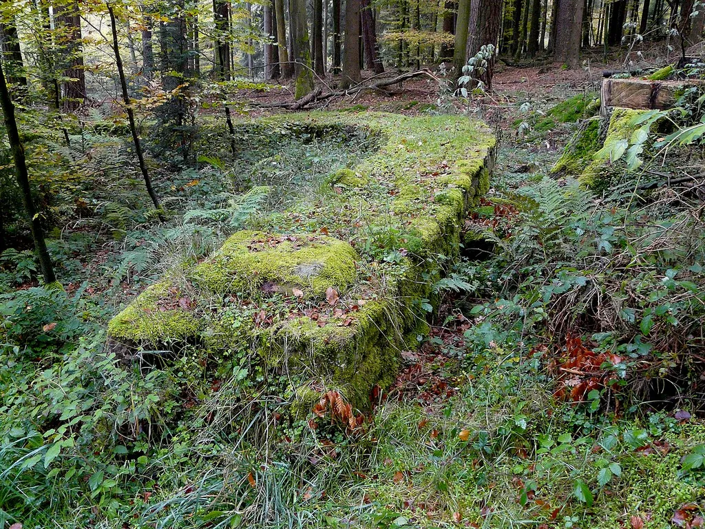Kleinkastell Robern