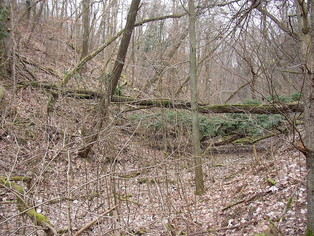 Die „Glindower Alpen“, eine Bergbaufolgelandschaft im Landkreis Potsdam-Mittelmark, Brandenburg. Bis in die jüngere Vergangenheit wurde hier Ton zur Ziegelherstellung abgebaut.