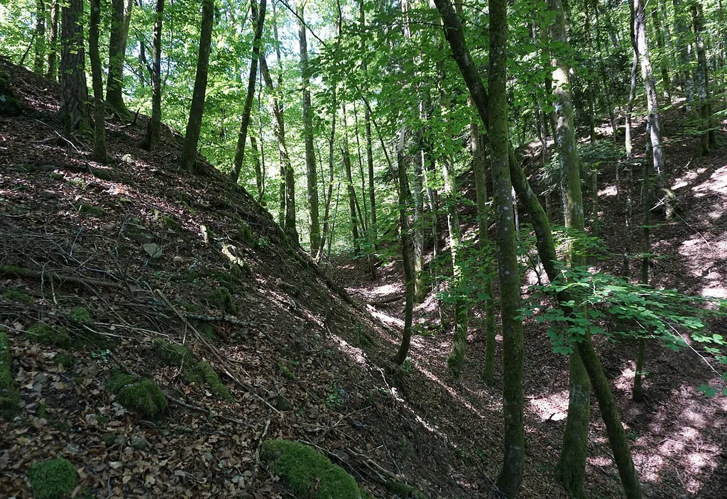 Burg Alt-Waldeck