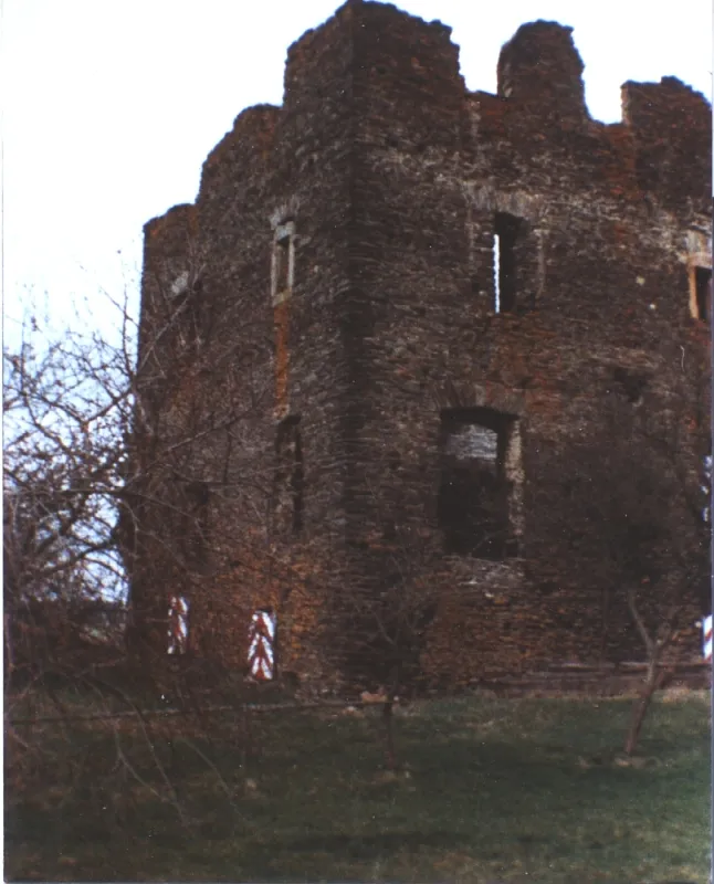 Burg Dill (Hunsrück)