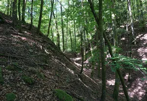 Burg Alt-Waldeck