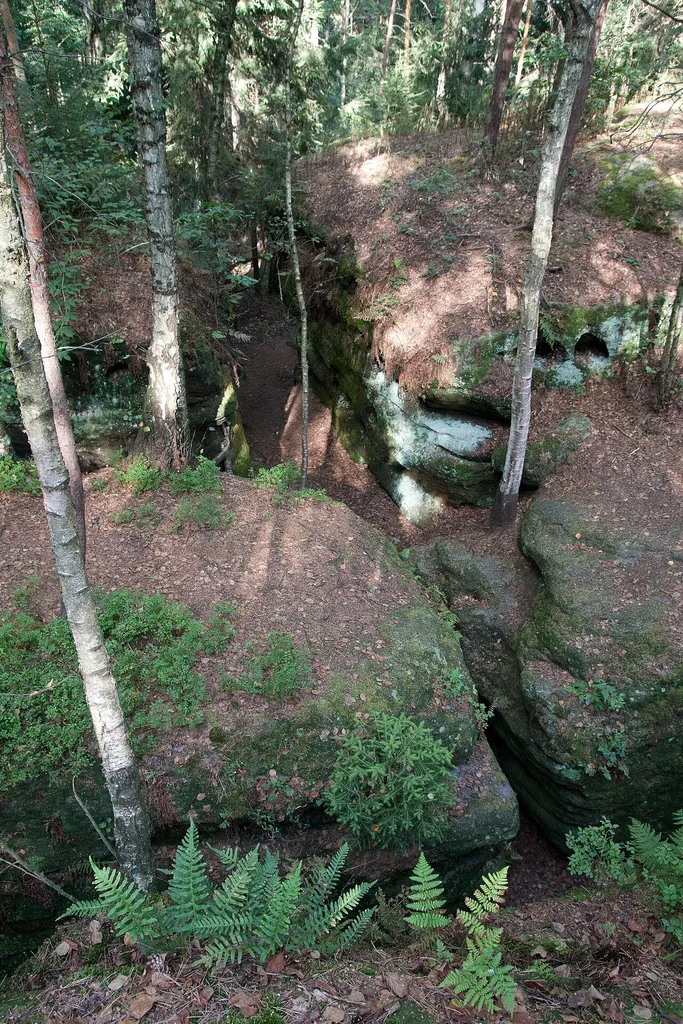 Das Labyrinth in der Sächsischen Schweiz, von einem erhötem Standpunkt aufgenommen.