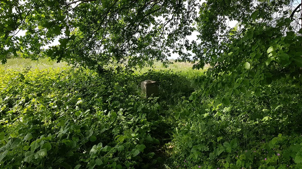 Belgium-Netherlands boundary stone no. 84a