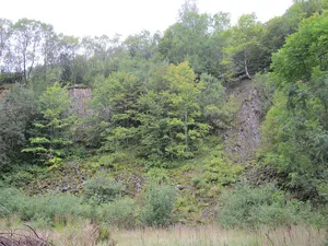 Bayerische Hohe Rhön