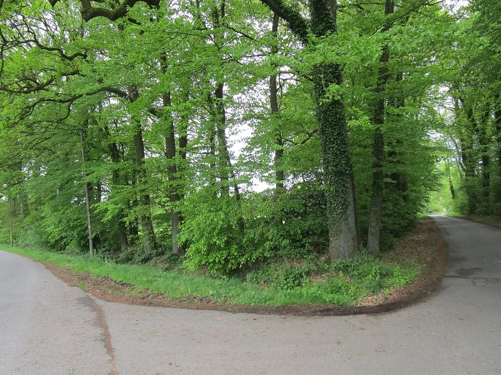 Teutoburger Wald von Tecklenburg bis Lengerich