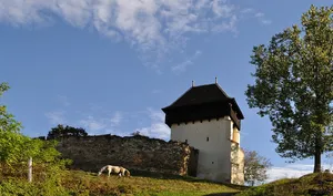 Lutheran church in Țapu, Sibiu