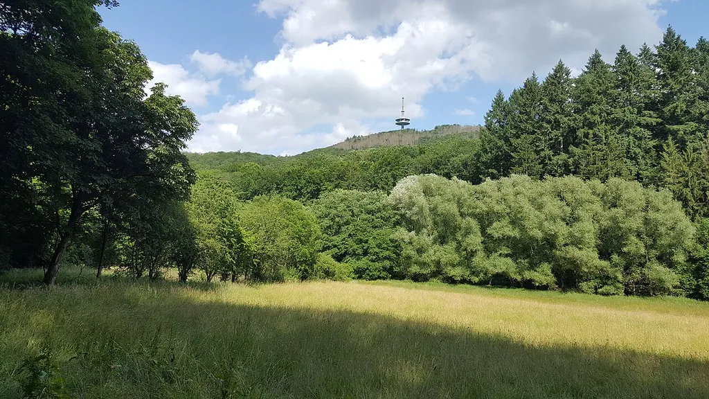 Grünland und Wälder zwischen Frankenbach und Heuchelheim