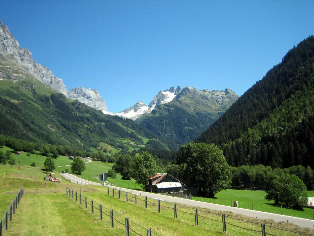 Bild von q69426.webp