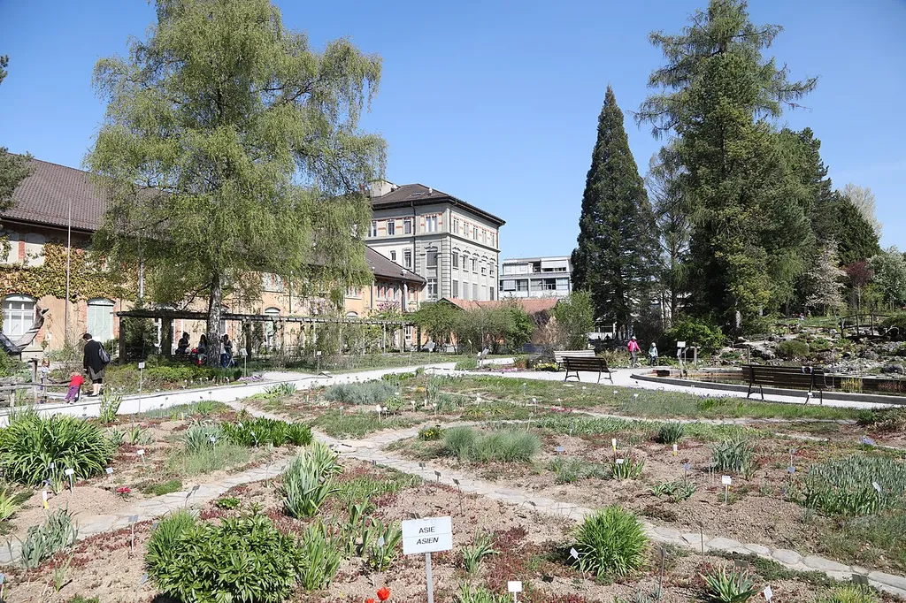 Übersichtsfotos aus dem Botanischen Garten von Freiburg