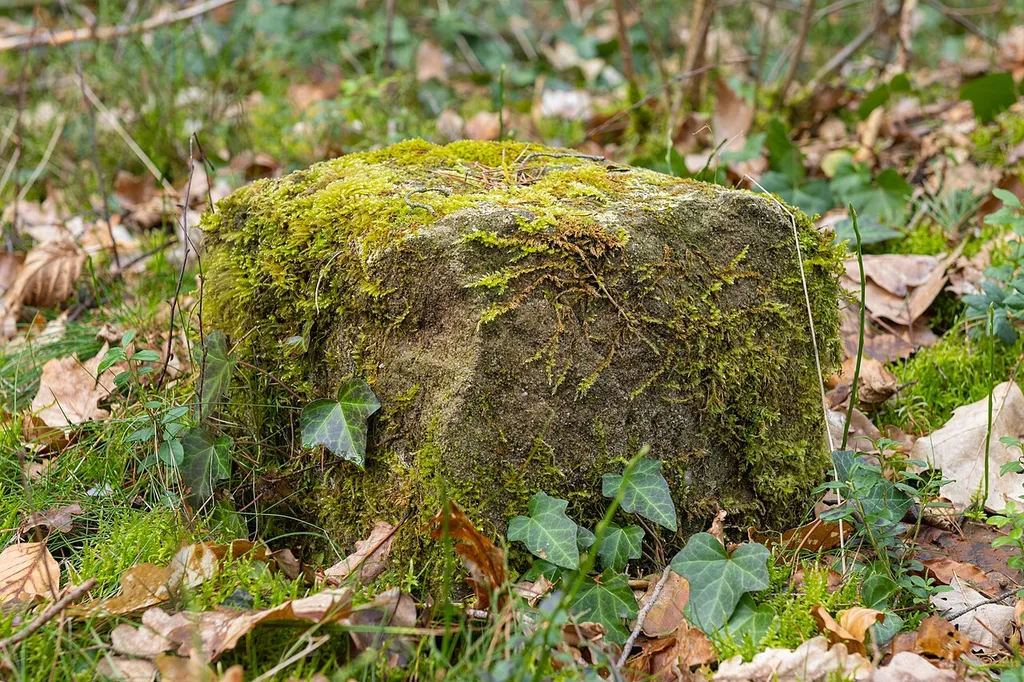 Grenzstein Fürther Stadtwald in Fürth