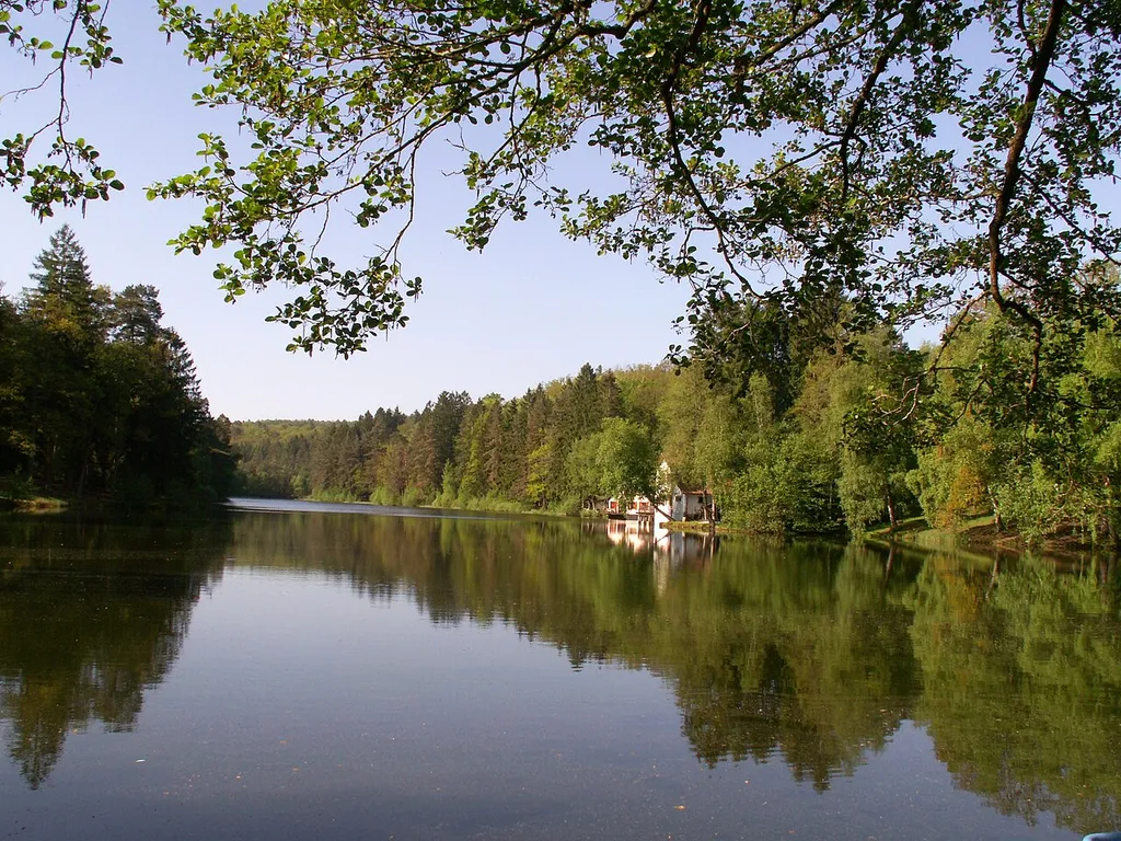 Etang de Hasselfurt, Bitche, Moselle, France