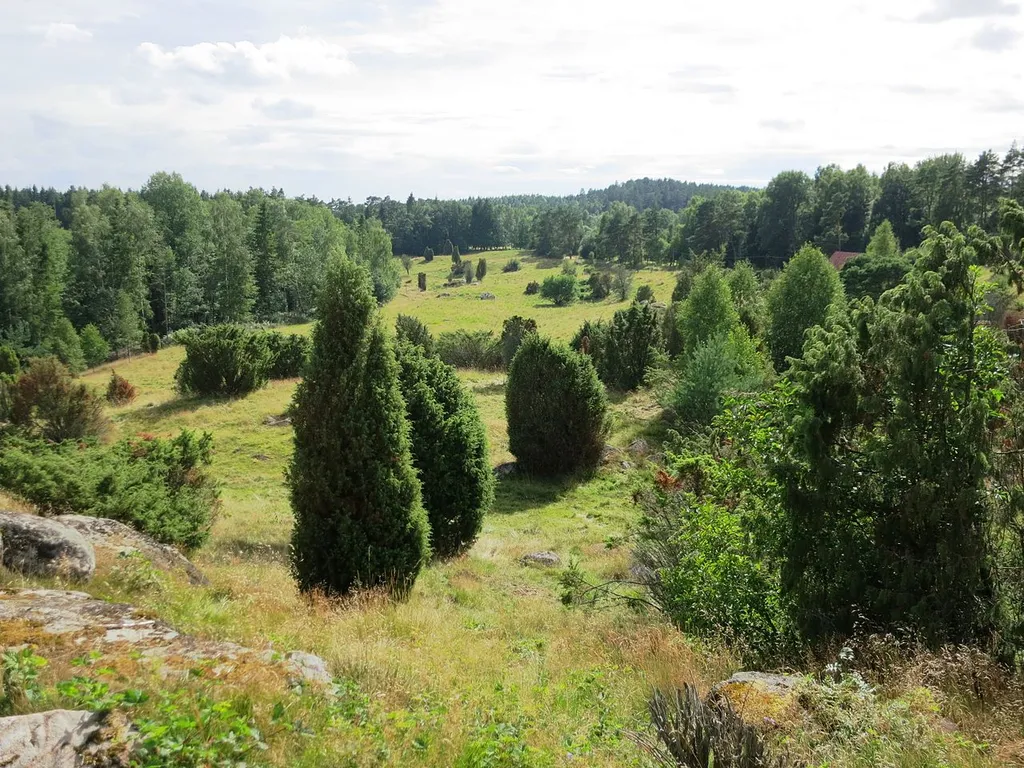 Hollandsbjär naturreservat Laholms kommun
