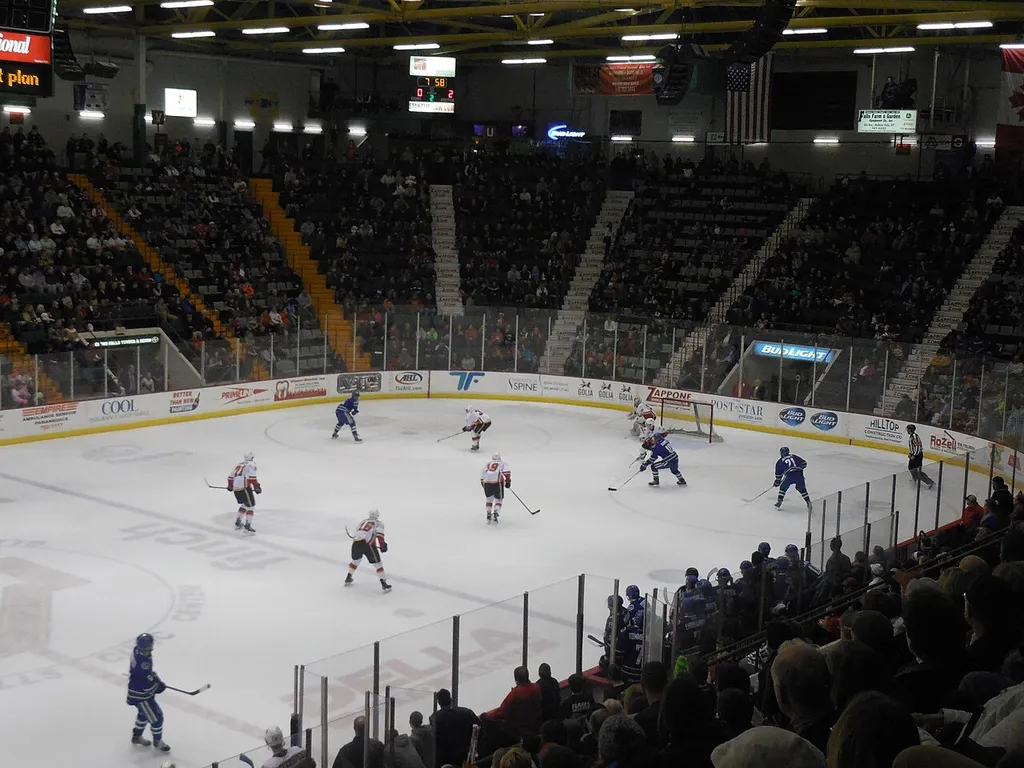 Adirondack Flames vs. Utica Comets - Glens Falls Civic Center - Glens Falls, New York - December 20, 2014