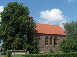 Naturdenkmal Winterlinde (Tilia cordata) am Eingang vor der Kirche, südlicher / rechte Baum in Allmosen