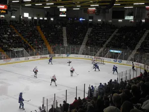 Cool Insuring Arena