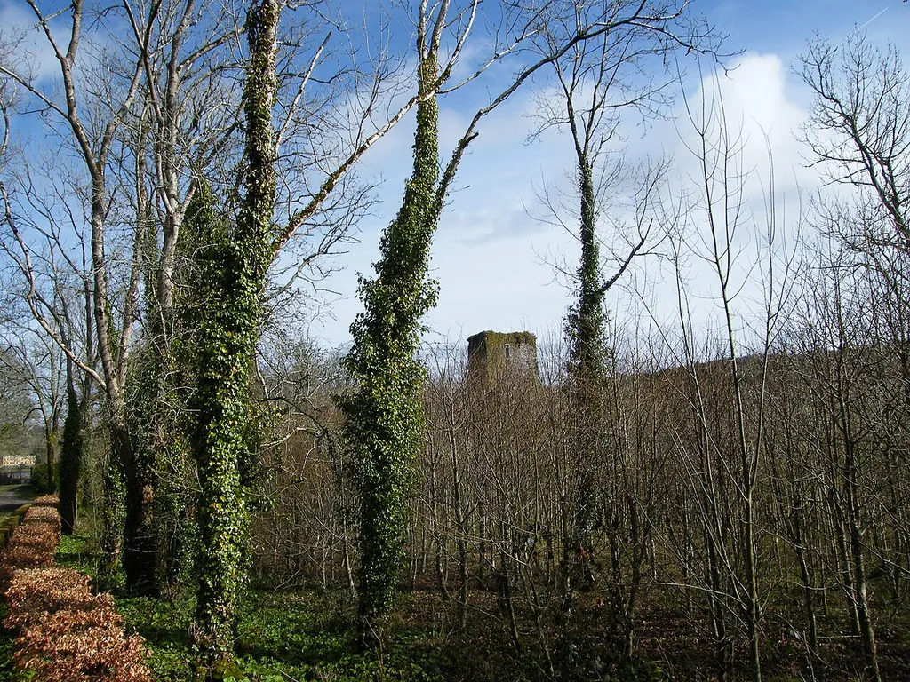Templemichael Castle