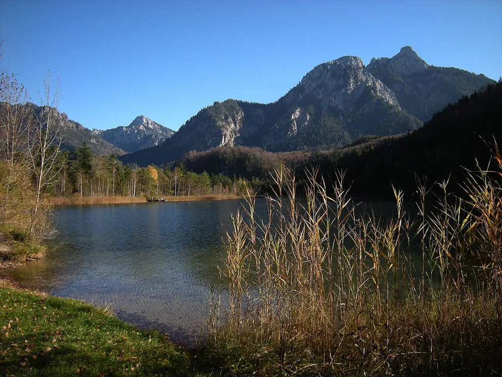 Füssen - Schwansee bei Hohenschwangau. Säuling-Massiv mit Vieleköfpchengrat vom kleinen Säuling zum Pilgerschrofen, darüber der deutlicher sichtbare 12-Apostel-Grat. Gassenthomaskopf und Säulings-Älpeleskopf. Weiter hinten im Tal: Hoher Straussberg.