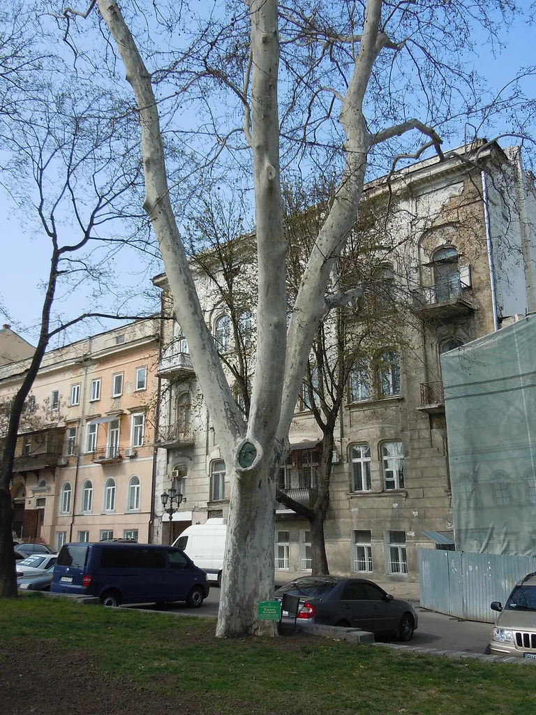 This is a photo of a natural heritage site in Ukraine, id: 51-101-5037