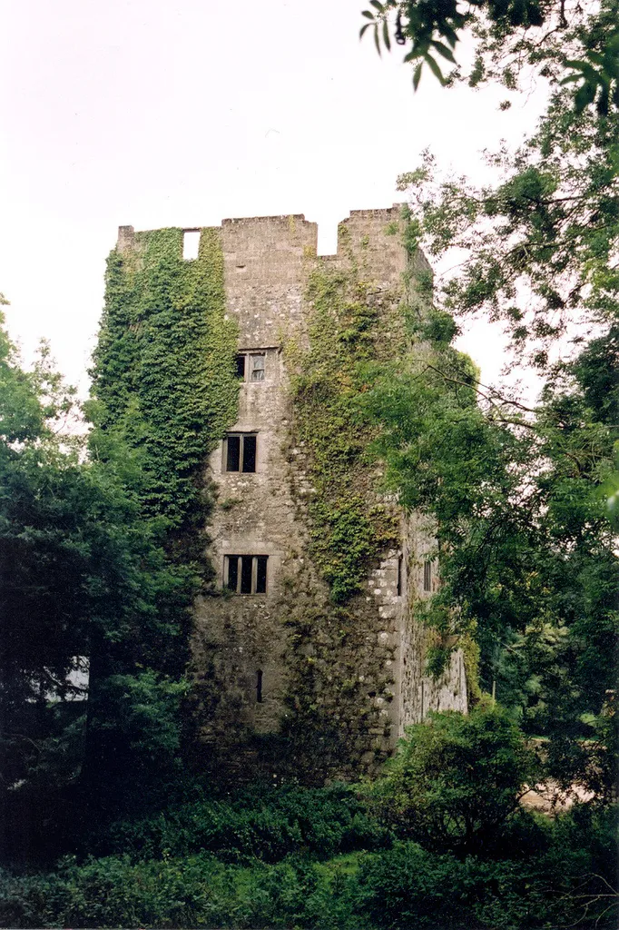 Bourchier Tower at Lough Gur (September 2005), owned by the Earl, at the heart of his county Limerick estate, From John Francis Charles-"Bourchier Tower, Lough Gur in 2005. Sometime in tenancy of the Baylee family. Described by Mary Carbery in The Farm by Lough Gur.[2] Part of the Count's Irish estate, most of which was sold as part of the Irish Land Acts." Photo: R. de Salis (Sept. 2005) Summary Photo: R. de Salis (Sept. 2005)