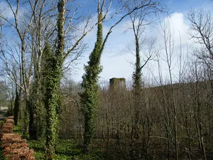 Templemichael Castle