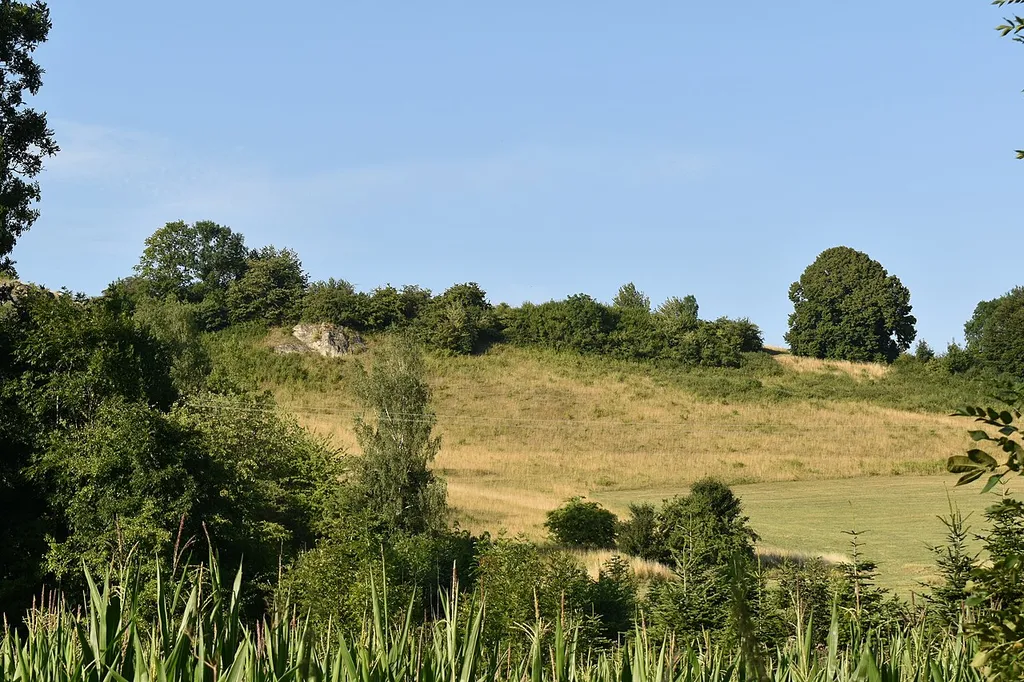 Butterberg und Hopfenbusch bei Bartolfelde