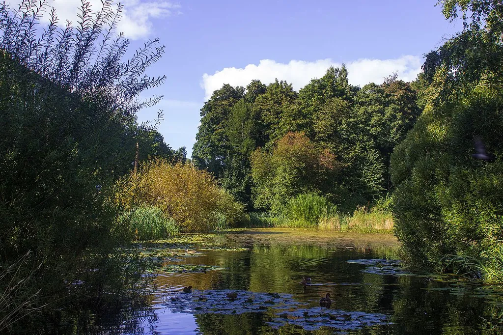 Park of Saint Petersburg State Forestry Academy