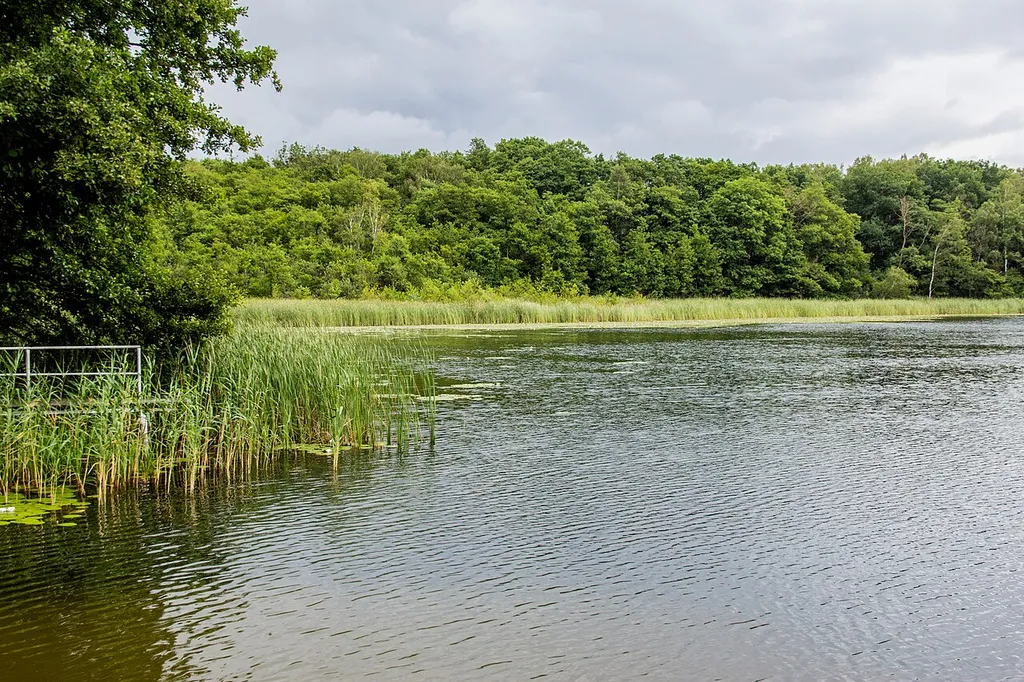 Zierker See