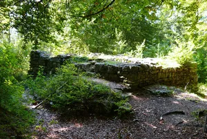 Burgruine Luginsfeld