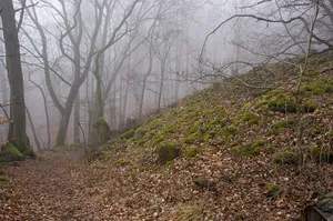 Kleiner Gleichberg, Hartenburg und Altenburg