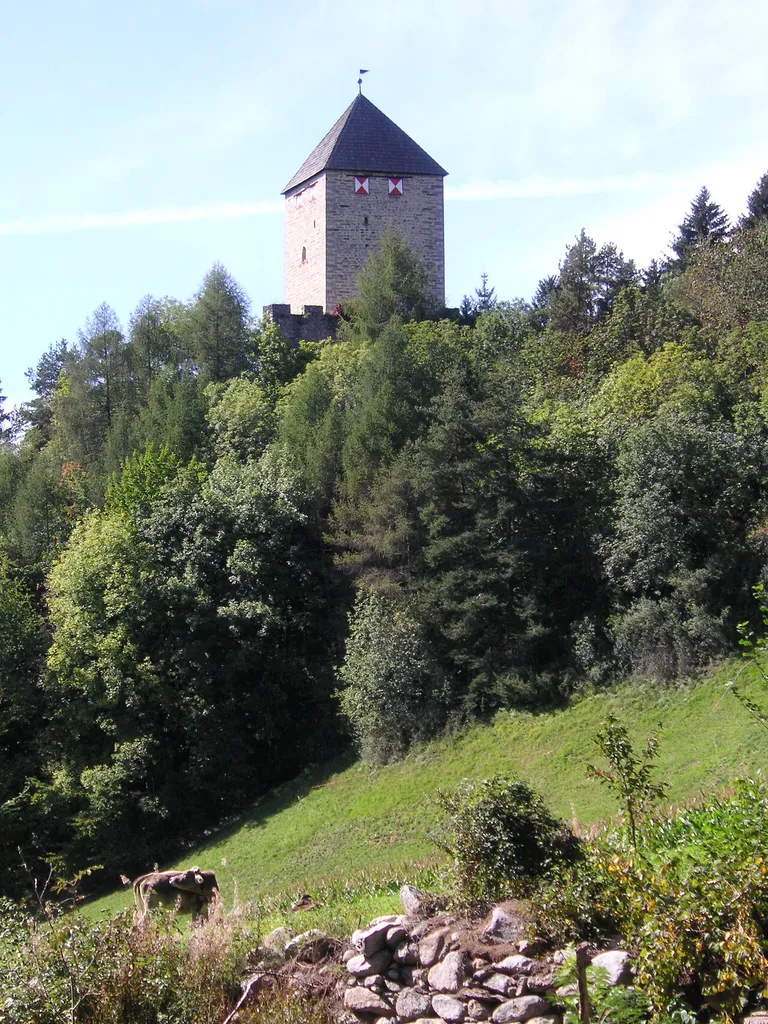 Blick auf Burg Schöneck (von Osten)