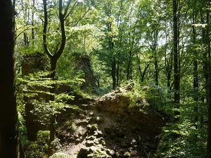 Burgruine Höhenstein