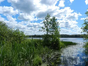 Bukino