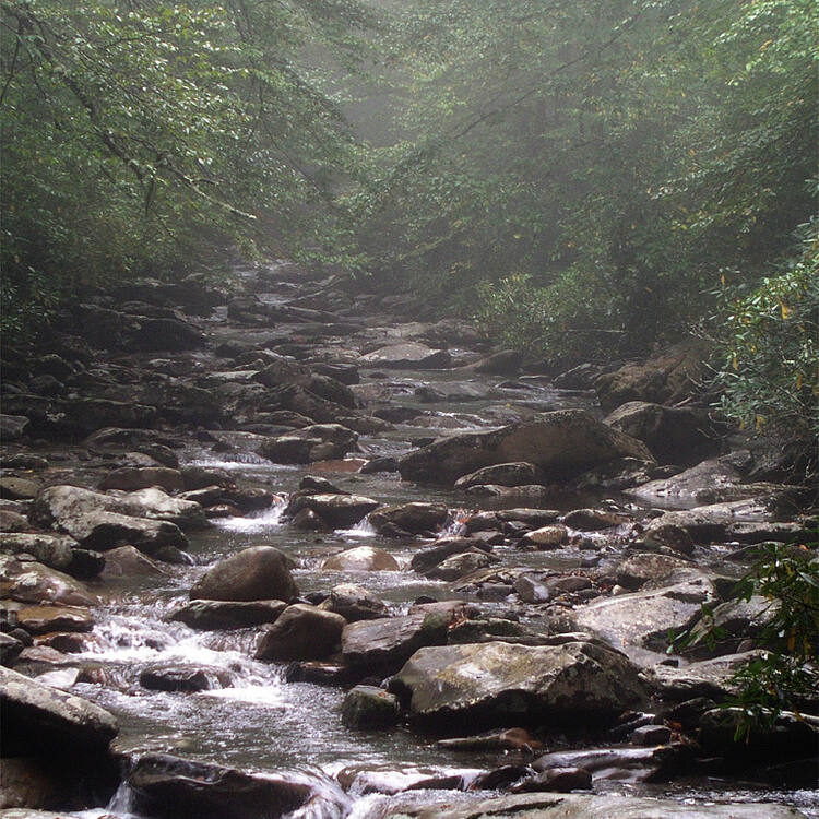 Great Smoky Mountains National Park