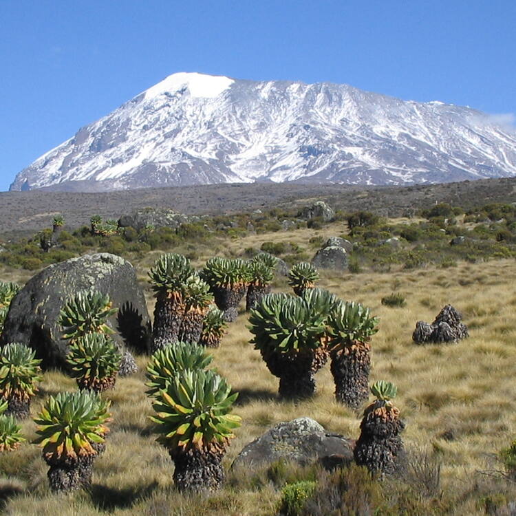 Kilimanjaro National Park