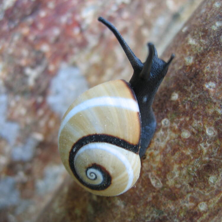 Alejandro de Humboldt National Park