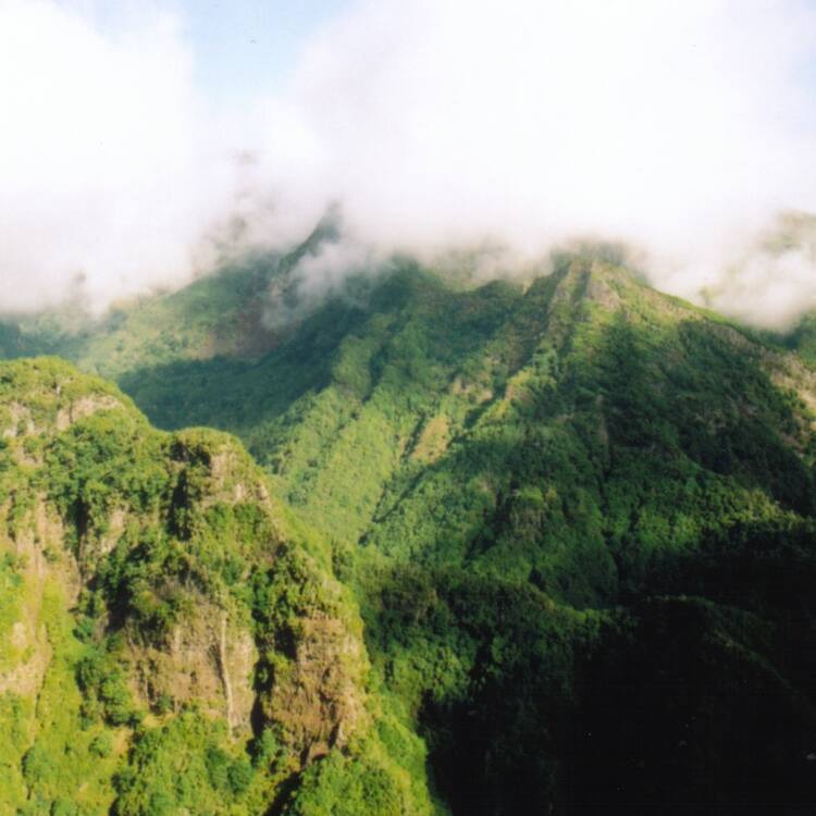 Laurisilva of Madeira