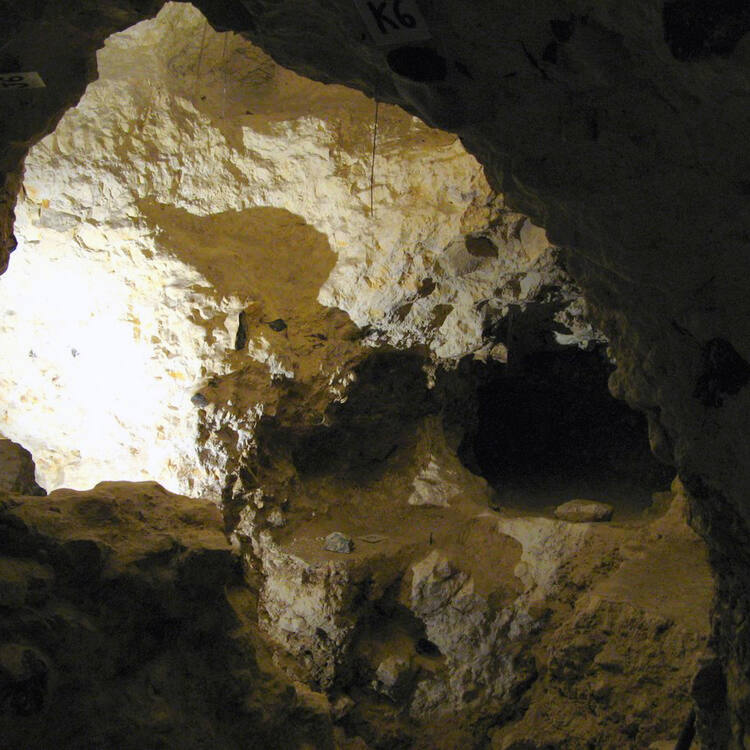 Neolithic Flint Mines at Spiennes (Mons)