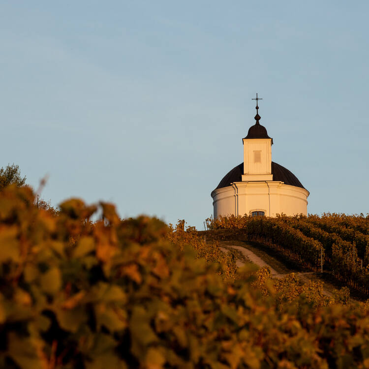 Tokaj Wine Region Historic Cultural Landscape