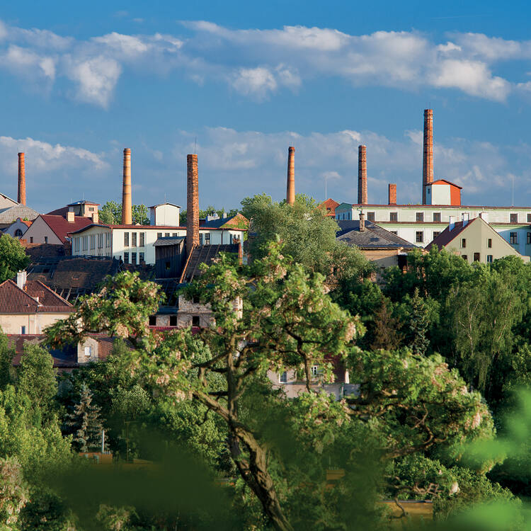 Žatec and the Landscape of Saaz Hops