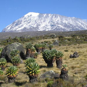 Kilimanjaro National Park