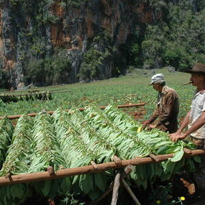 Viñales Valley